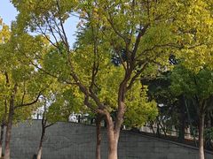 -月湖风景区