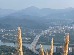 -风云岭森林公园