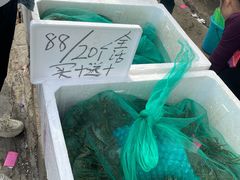 -王四营海鲜市场
