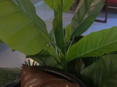 -金光华广场