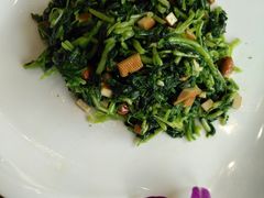 -印象江南(东栅店)