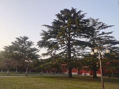 -北京市劳动人民文化宫(太庙)