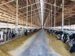 -蒙牛工业旅游景区