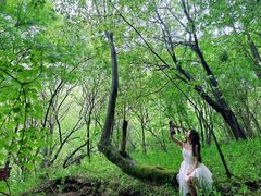 -叠溪松坪沟景区