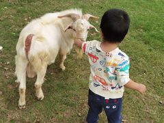 -上方山森林动物世界