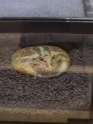 -Zoolung Zoolung动物主题公园(海信广场店)