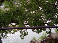 -蒋氏故居