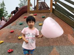 -枫香湖儿童公园