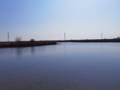 -宁波杭州湾国家湿地公园