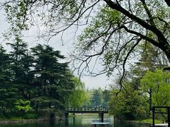 -上海共青森林公园