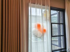 -城北食府(枫林店)