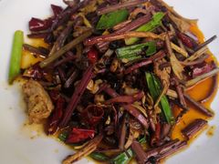 -高荡千年布依古寨旅游景区