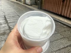-洪馨椰子