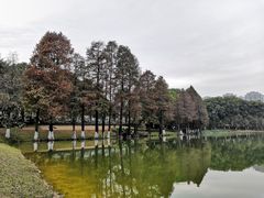 -东莞植物园