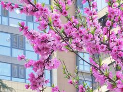 -木塔寺遗址生态公园