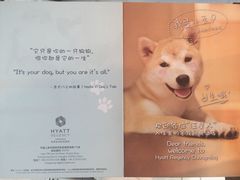 -上海崇明金茂凯悦酒店