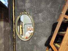 -樊笼真人密室逃脱(江南西店)