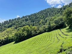 -敬亭山风景名胜区