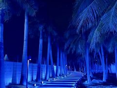 -欢乐海岸椰林沙滩-2025湾区超级灯会