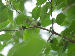 -北运河水利风景区