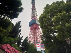 -东京塔海贼王主题公园