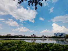 -莲花池公园