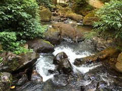 -莫里热带雨林景区