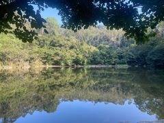 -水濂山森林公园