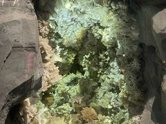 -湖南省地质博物馆