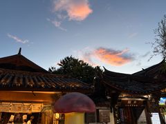 -菌自由丨野生菌火锅特色庭院餐厅(丽江古城店)