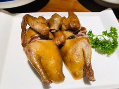 -燕郊烧鸽子(广安路店)