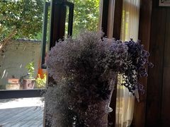 -一棵树·意大利西餐厅One Tree(新城店)