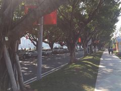 -二沙岛艺术公园