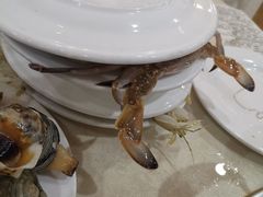 -春华海鲜城(广场西苑店)