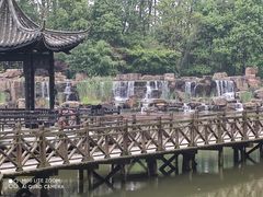 -合肥滨湖国家森林公园