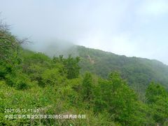 -阳台山自然风景区