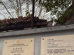 -巴金故居