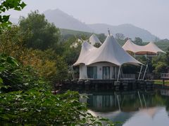 -帐篷客·溪龙茶谷度假酒店