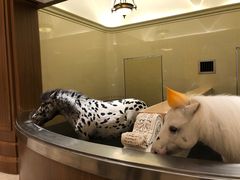 -海澜飞马水城
