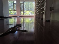 -Tao瑜伽