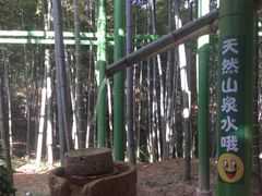 -陶祖圣境风景区