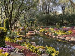 -上海共青森林公园