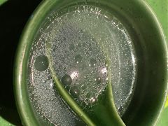 -芭缇沁园椰子鸡(中航紫金新天地店)
