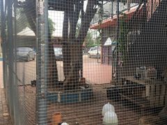 -好江南农庄·农家乐