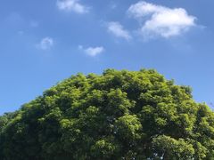 -金砂公园