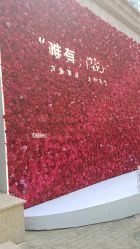 点击看大图 -Dr.U博士医疗美容医院