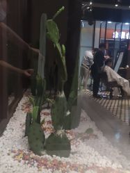 -木北造型