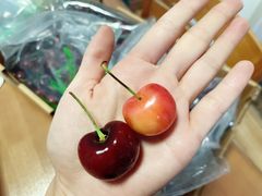 -东方鼎信农副产品交易中心