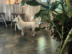 -绿房子方寸咖啡(星海名城店)