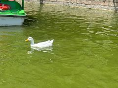 -团结湖公园